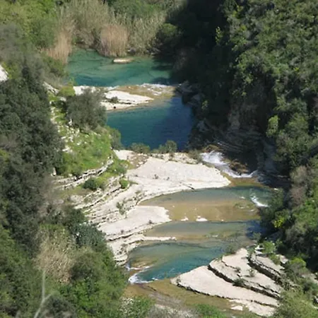 Auriale' Syracuse